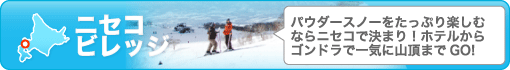 　【ANAスカイホリデー】ANAスキー・北海道スキー予約